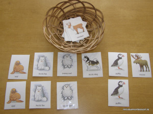 arctic_animals_micasa_montessori-14