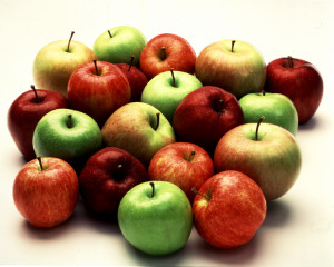 micasa_montessori_apple_theme_apples