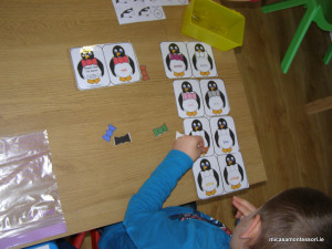 pinguins-activities-micasa-montessori-12