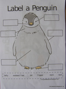 pinguins-theme-micasa-montessori-09