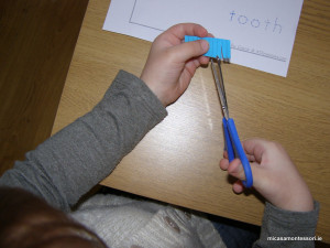 teeth-act-micasa-montessori-preschool3